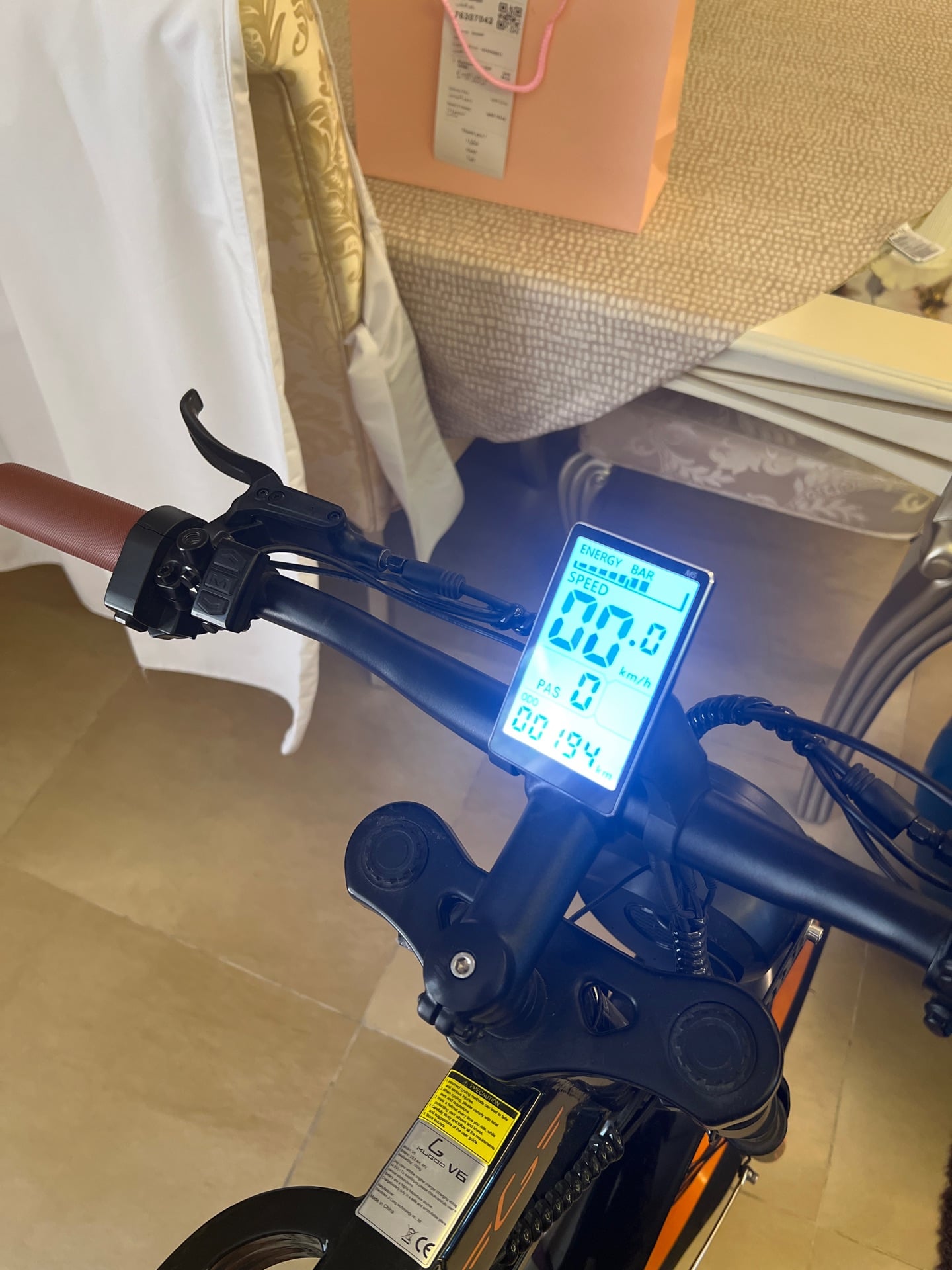 E BIKE KUGO V6 photo 5