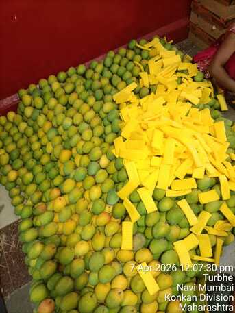 Direct Indian Exporter: Premium Onions, G4 Green Chillies & Fresh Produce – Qatar photo 3