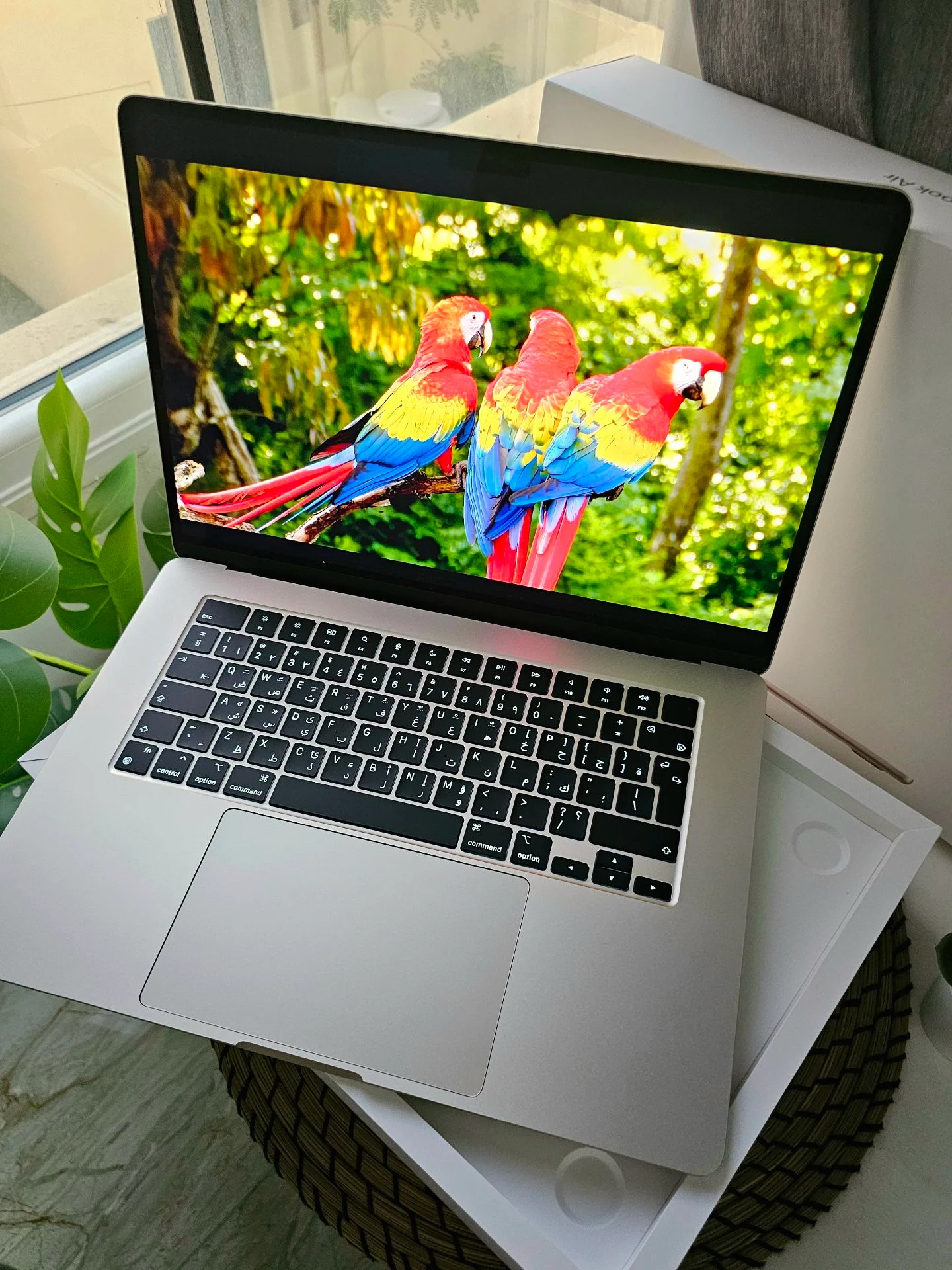 15" Macbook Air M3 8/512Gb Starlight photo 3