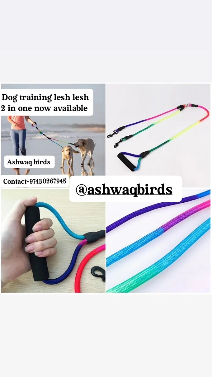 Dog training leash2 in one lesh mew