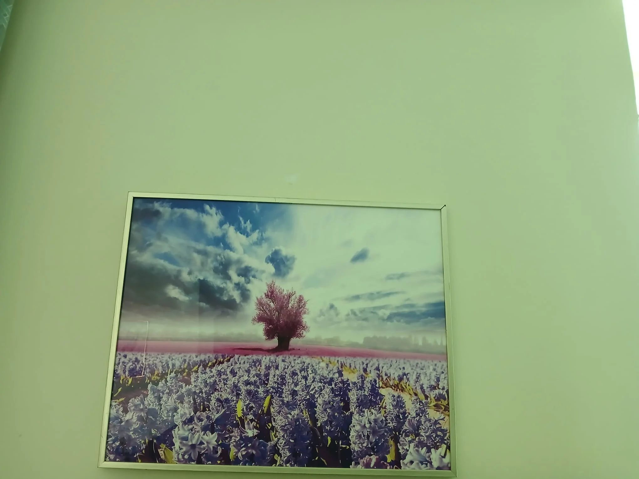 Wall Decor photo 5
