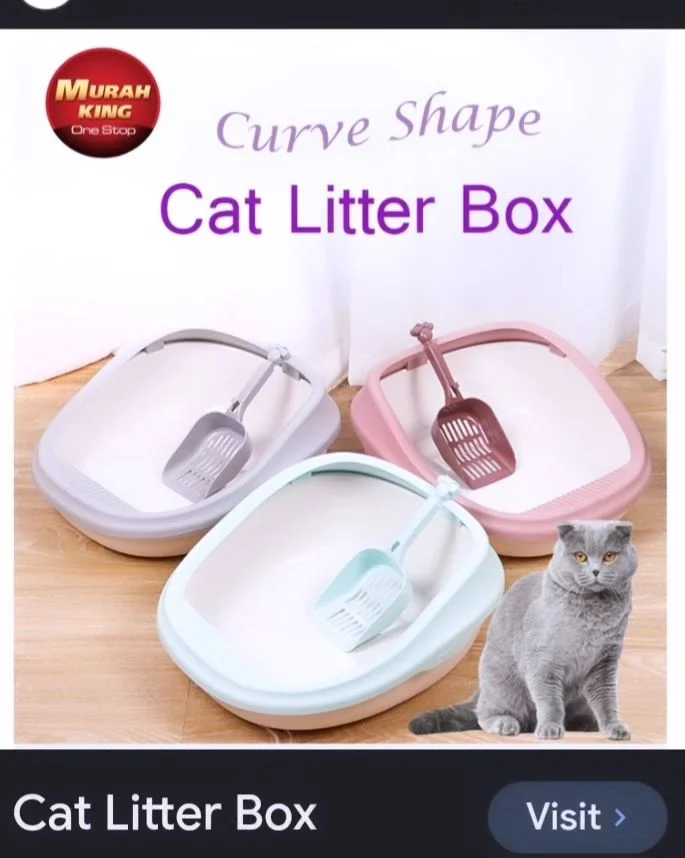 Cat letter box scop free photo 1