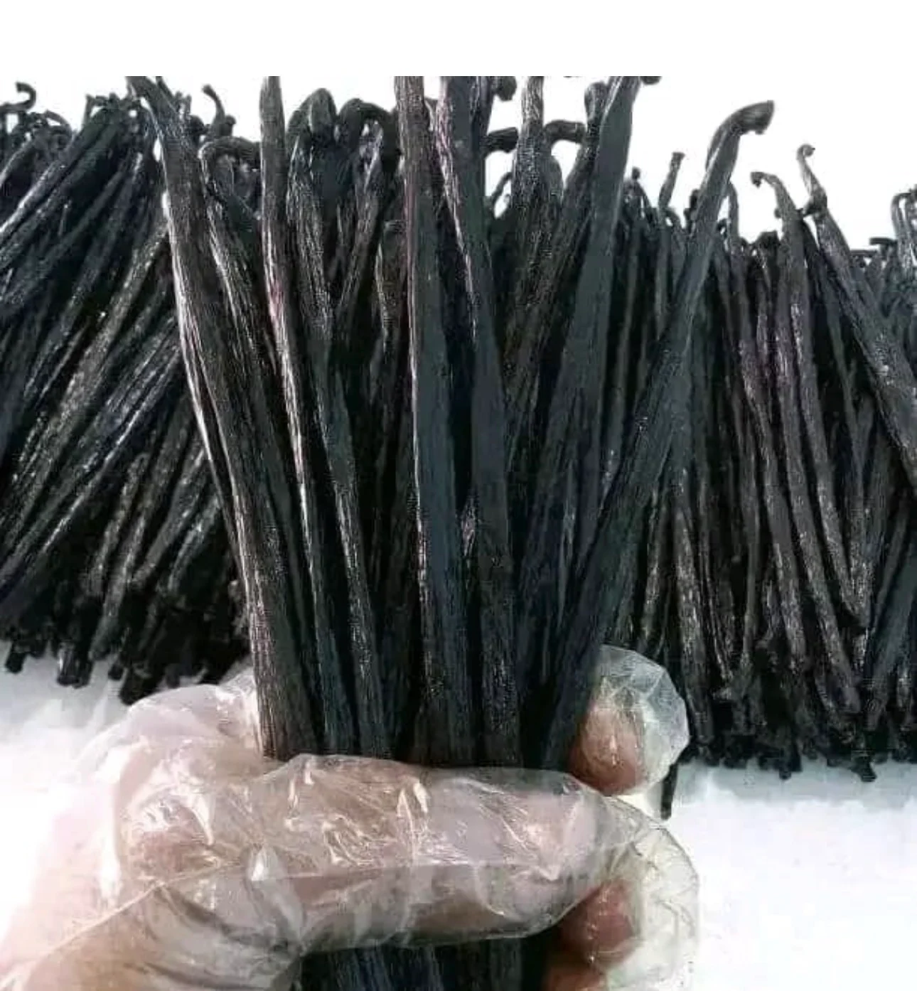 Fresh vanilla stick from Zanzibar photo 2