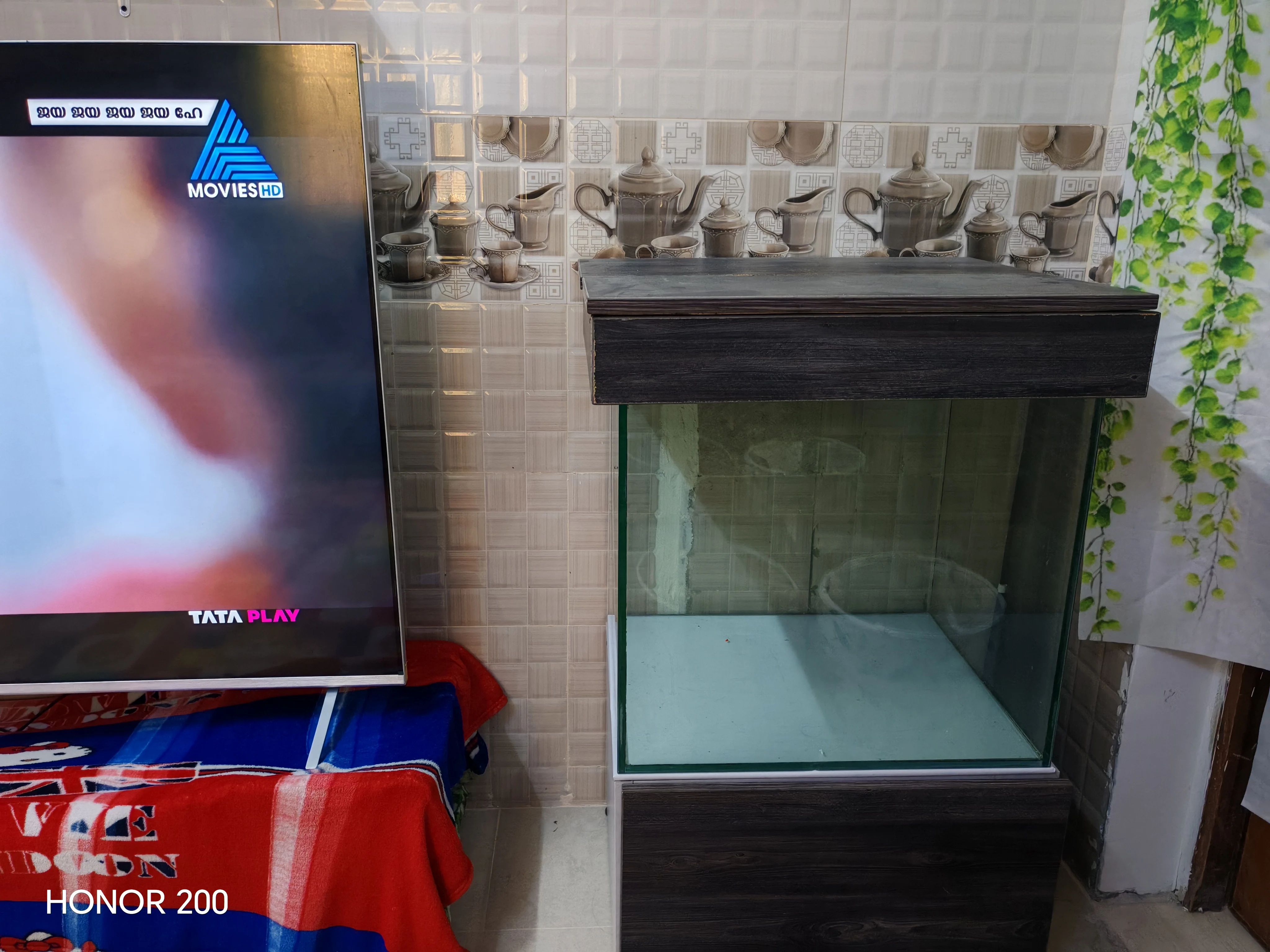 Big Size Aquarium photo 4