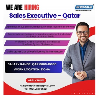 SENIOR SALES EXECUTIVE - NEWMATIC GROUP photo 1