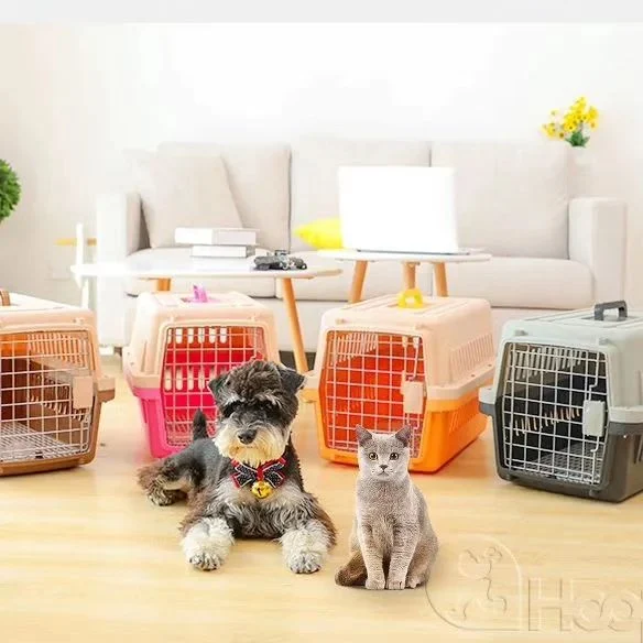 Cat carrier box approved traveling new