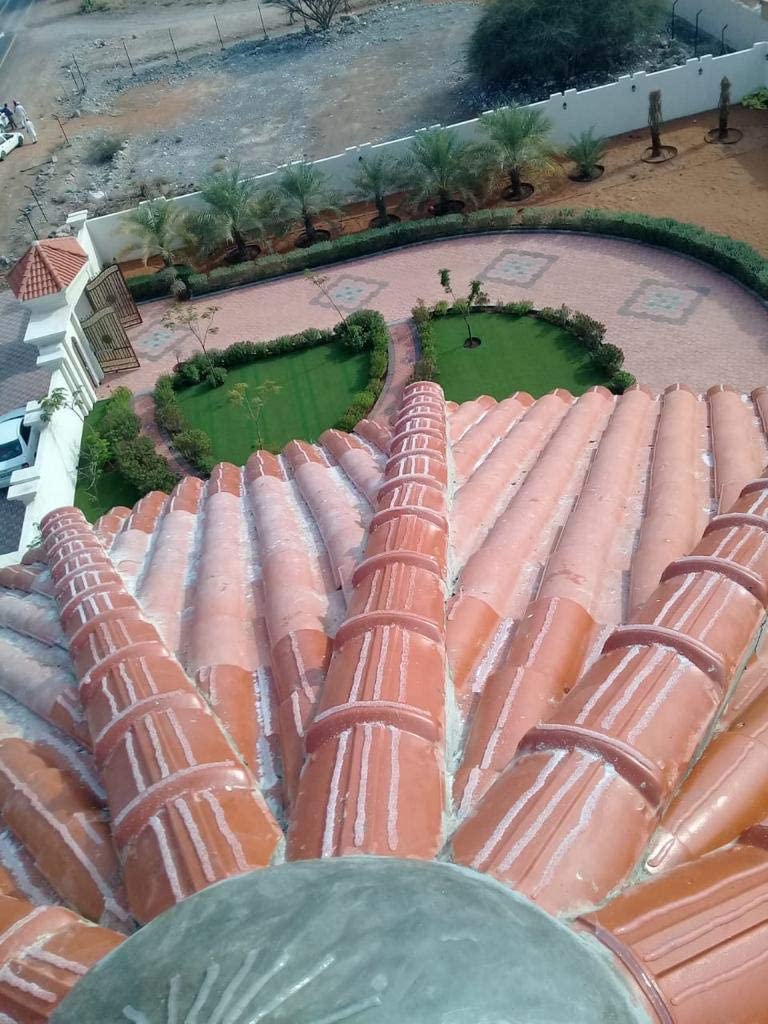 Applying Bird Repellent Gel/ Fixing Bird Spikes House, Office Cleaning photo 3