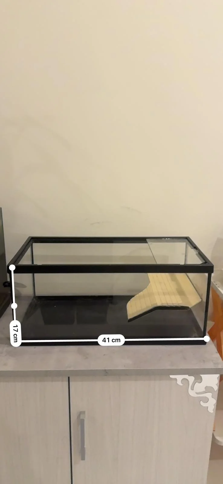 Tortoise tank
