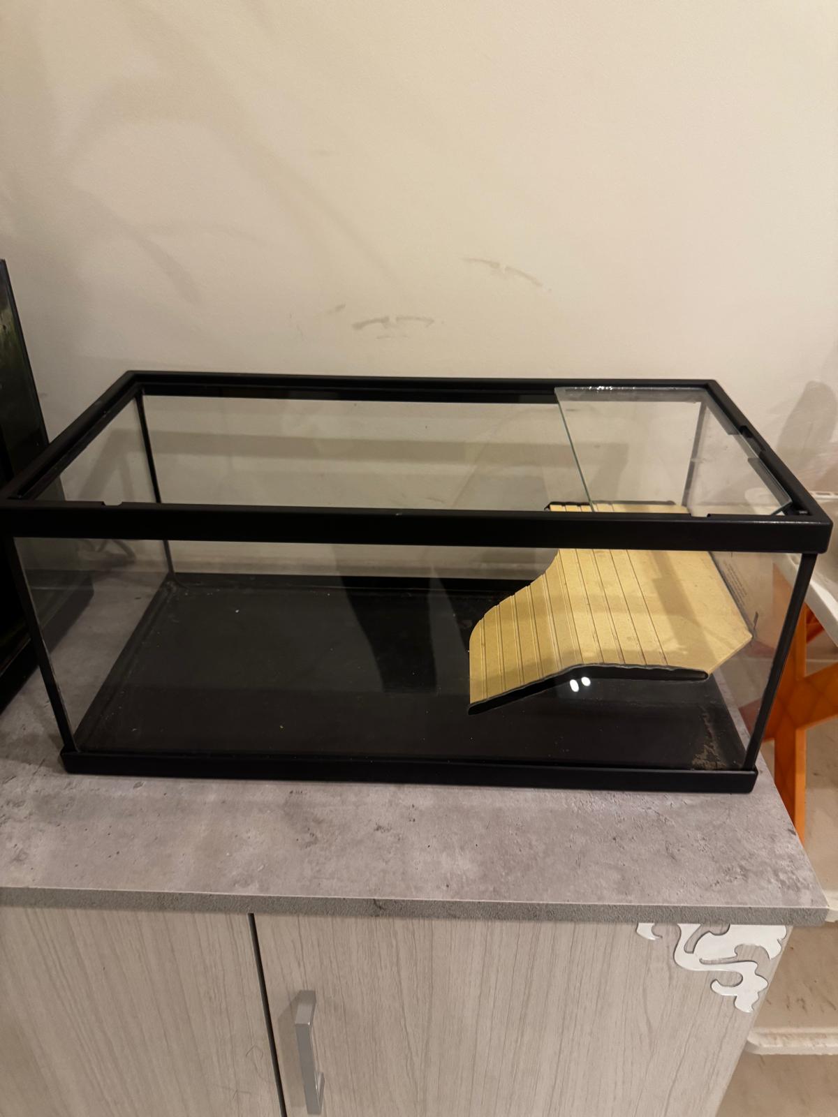 Tortoise tank photo 2