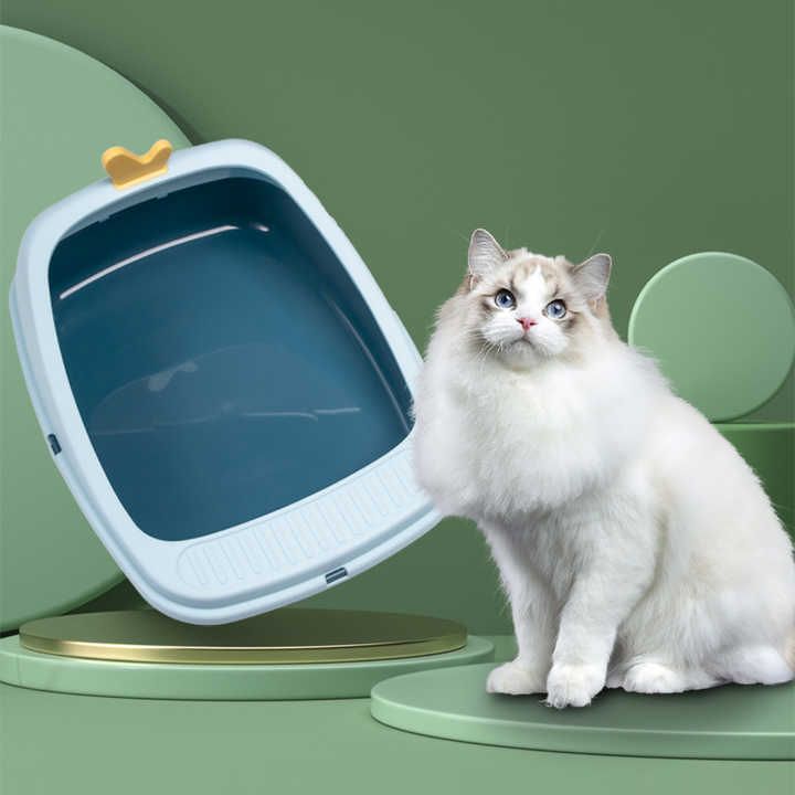 Cat letter box photo 1