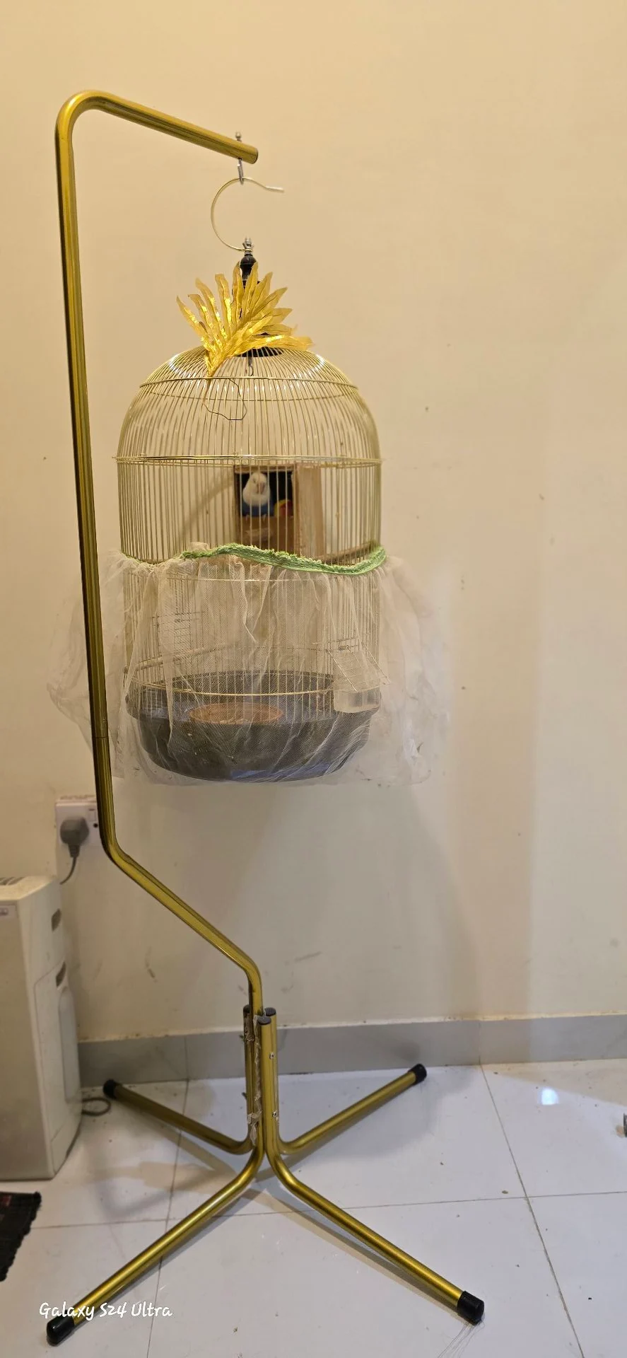 Two love birds with cage photo 4