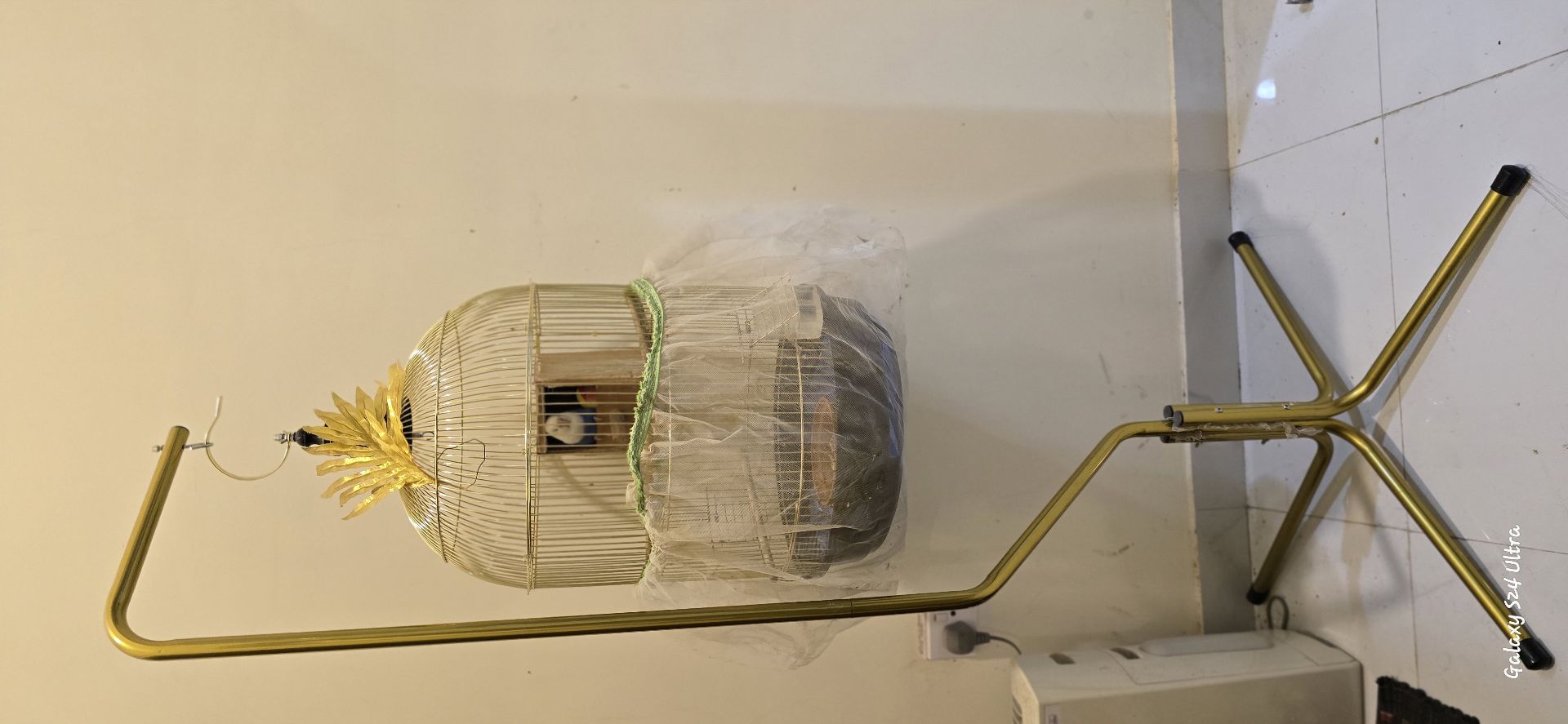 Two love birds with cage photo 1